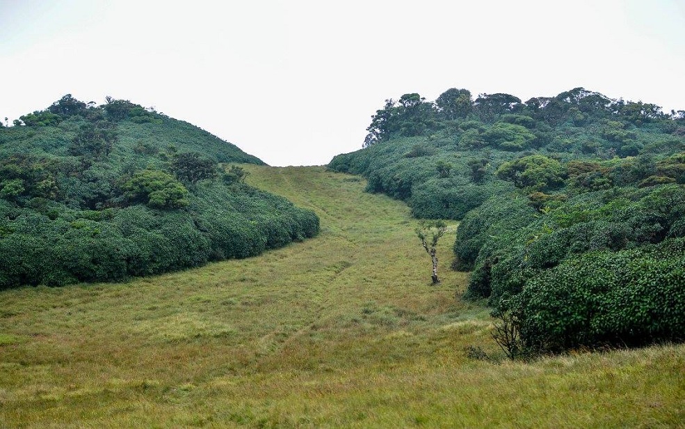 Chariot Path Trekking Image